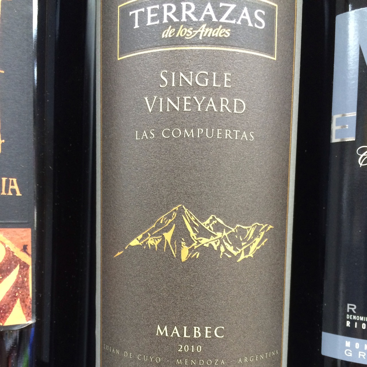 Terrazas De Los Andes Las Compuertas Single Vineyard Malbec 2013