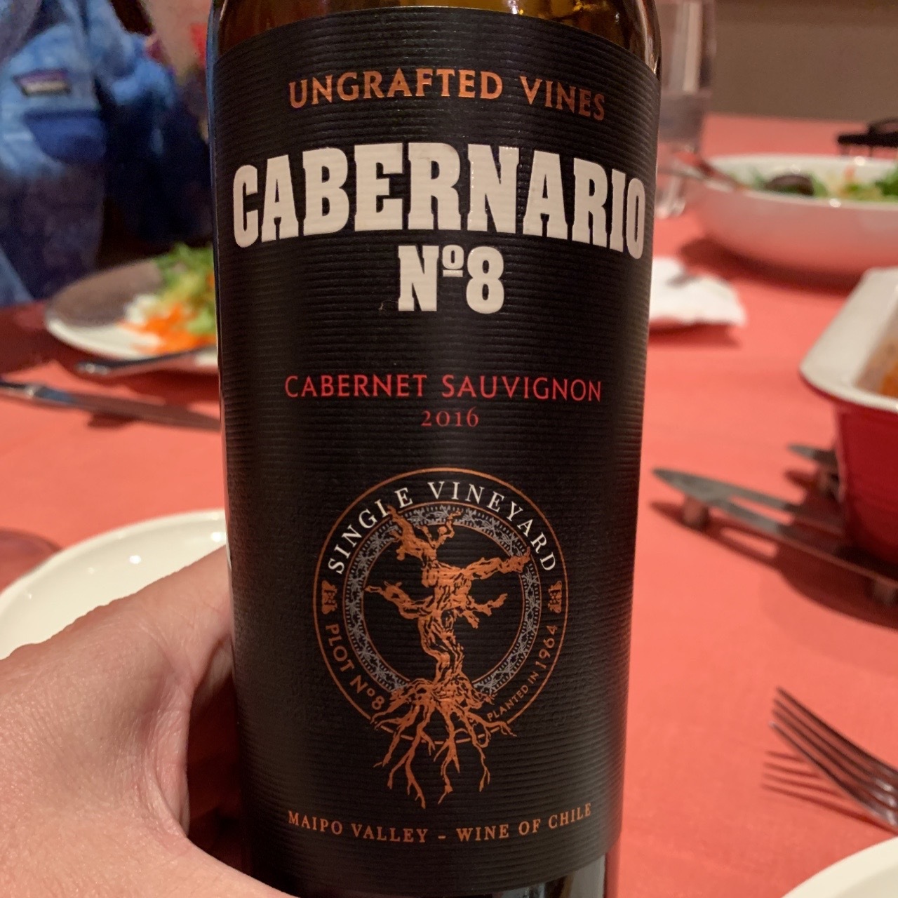 Sur Andino Ungrafted Vines Cabernario No 8 Single Vineyard